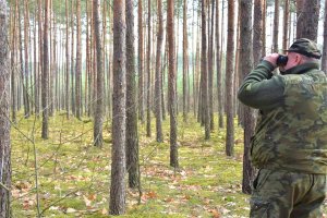 Wspólne działania Policji i Straży Leśnej podczas akcji „Kłusownik”