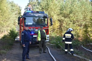 WSPÓLNE DZIAŁANIA POLICJI I STRAŻY LEŚNEJ PODCZAS ĆWICZEŃ