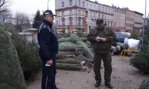 Podczas kontroli miejsc sprzedaży drzewek świątecznych ujawniono poszukiwanego listem gończym