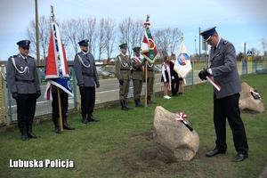 Uroczystość posadzenia Dębów Pamięci