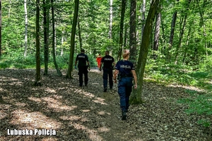 policjanci chodzący po lesie