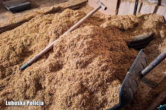 Policjanci zlikwidowali nielegalną produkcję – zabezpieczono blisko trzy tony tytoniu